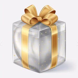 MYSTERY BOX/ BUNDLE PLUS SIZE 2X - 22W - 6 ITEMS